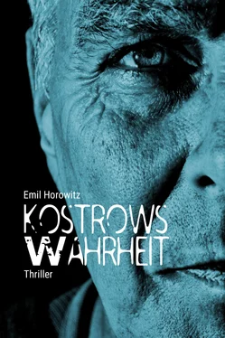 Emil Horowitz Kostrows Wahrheit обложка книги