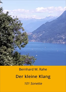 Bernhard W. Rahe Der kleine Klang обложка книги