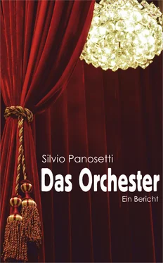 Silvio Panosetti Das Orchester обложка книги