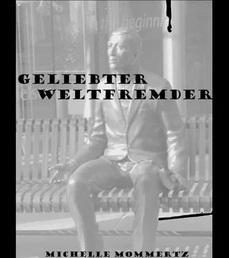 Michelle Mommertz Geliebter Weltfremder обложка книги