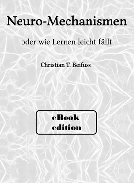 Christian Beifuss Neuro-Mechanismen обложка книги