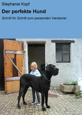 Stephanie Kopf Der perfekte Hund обложка книги