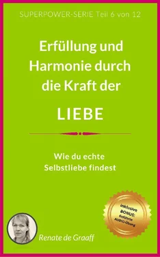 Renate de Graaff LIEBE - Erfüllung & Harmonie обложка книги