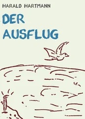 Harald Hartmann - Der Ausflug