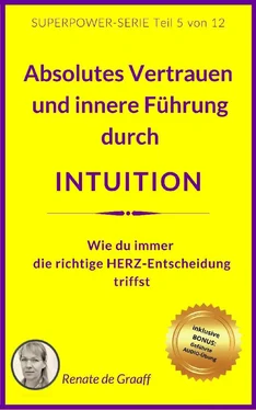 Renate de Graaff INTUITION - Vertrauen & innere Führung обложка книги