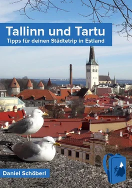 Daniel Schöberl Tallinn und Tartu обложка книги