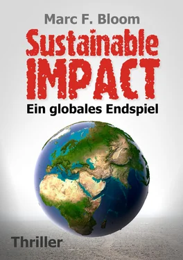 Marc F. Bloom Sustainable Impact обложка книги