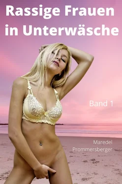 Maredel Prommersberger Rassige Frauen in Unterwäsche Band 1 обложка книги