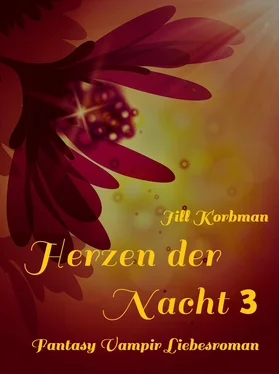Jill Korbman Herzen der Nacht 3 обложка книги