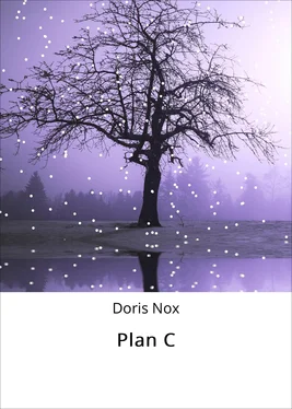 Doris Nox Plan C обложка книги
