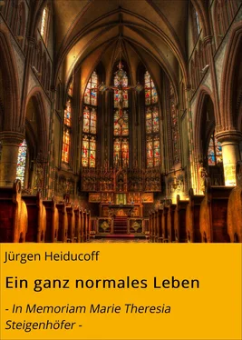 Jürgen Heiducoff Ein ganz normales Leben обложка книги