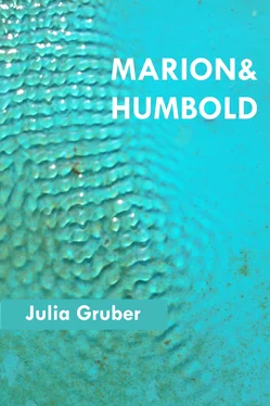 Julia Gruber Marion und Humbold обложка книги