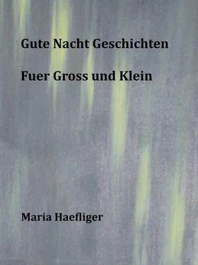 Maria Haefliger Gute Nacht Geschichten fuer Gross und klein обложка книги