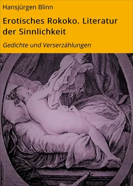 Hansjürgen Blinn Erotisches Rokoko. Literatur der Sinnlichkeit обложка книги