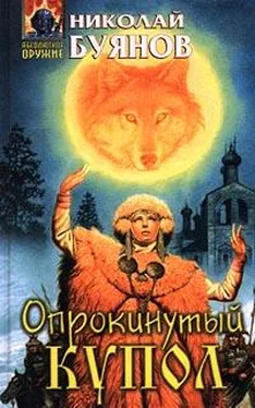 Николай Буянов Опрокинутый купол обложка книги