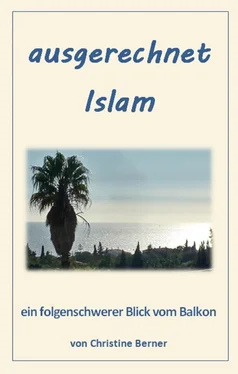 Christine Berner ausgerechnet Islam обложка книги
