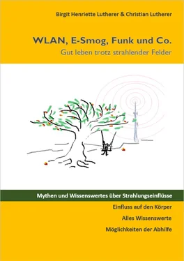 Birgit Henriette Lutherer WLAN, E-Smog, Funk und Co. обложка книги