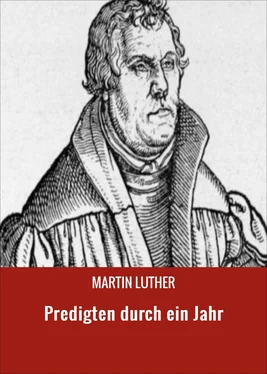 Martin Luther Predigten durch ein Jahr обложка книги