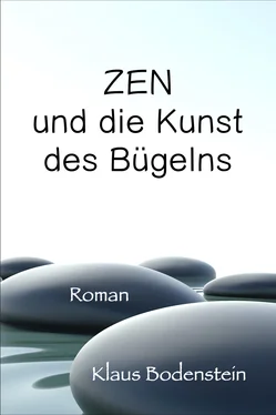 Klaus Bodenstein Zen und die Kunst des Bügelns обложка книги