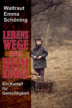 Waltraut Emma Schöning Lebenswege eines Heimkindes обложка книги