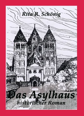 Rita Renate Schönig Das Asylhaus обложка книги