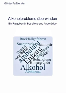 Günter Faßbender Alkoholprobleme überwinden обложка книги
