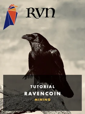 Marcus Bohlander RVN Ravencoin Mining обложка книги