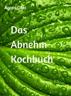Agnes Obel Das Abnehm-Kochbuch обложка книги