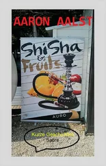 Aaron Aalst - kurze Geschichten, Satire