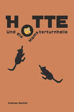 Andreas Günther Hotte und die Hamsterturnhalle обложка книги