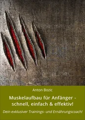 Anton Bozic - Muskelaufbau für Anfänger - schnell, einfach & effektiv!
