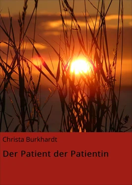 Christa Burkhardt Der Patient der Patientin обложка книги