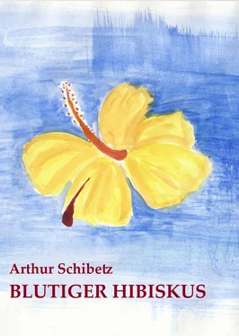 Arthur Schibetz Blutiger Hibiskus обложка книги