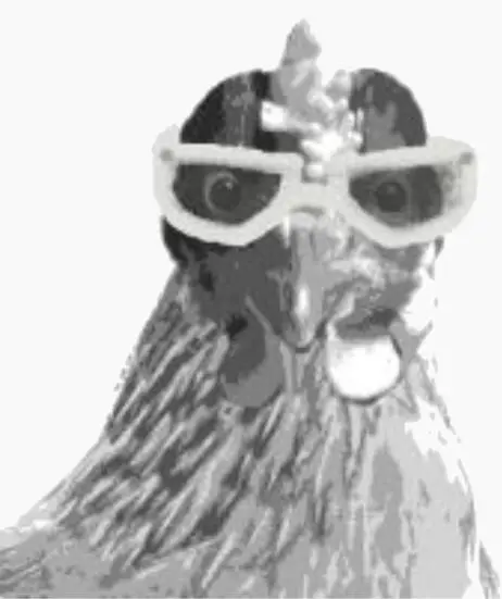 Aber dann gab es nochmals einen Zwischenfall denn Das verrückte Huhn das - фото 22
