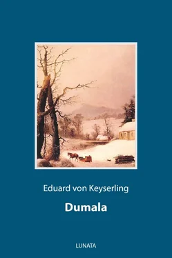 Eduard von Keyserling Dumala обложка книги