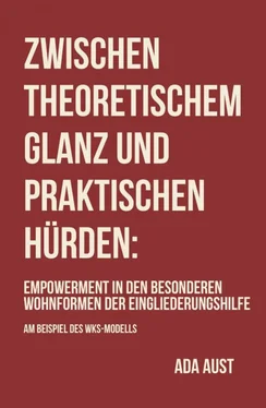 Ada Aust Zwischen theoretischem Glanz und praktischen Hürden обложка книги