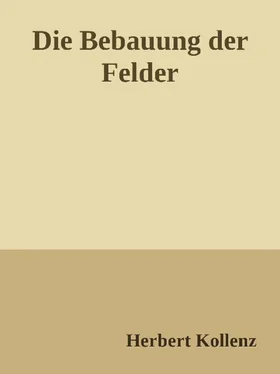 Herbert Kollenz Die Bebauung der Felder обложка книги