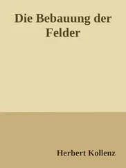 Herbert Kollenz - Die Bebauung der Felder