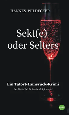 Hannes Wildecker Sekt(e) oder Selters обложка книги