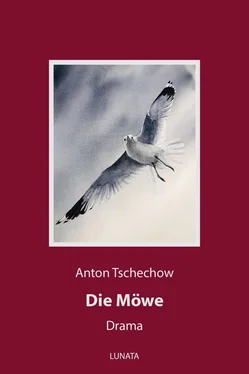 Anton Tschechow Die Möwe обложка книги