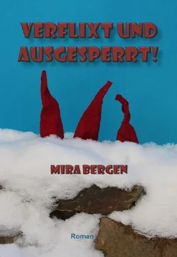 Mira Bergen Verflixt und ausgesperrt! обложка книги