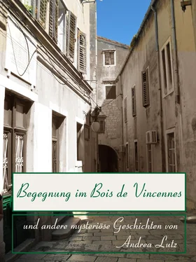 Andrea Lutz Begegnung im Bois de Vincennes обложка книги