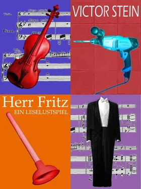 Victor Stein Herr Fritz oder Der Geiger als Hausmeister обложка книги