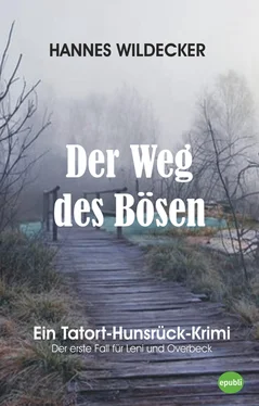 Hannes Wildecker Der Weg des Bösen обложка книги