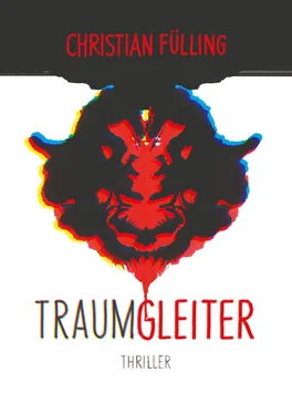 Christian Fülling Traumgleiter обложка книги