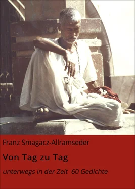 Franz Smagacz-Allramseder Von Tag zu Tag обложка книги