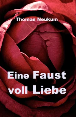 Thomas Neukum Eine Faust voll Liebe обложка книги