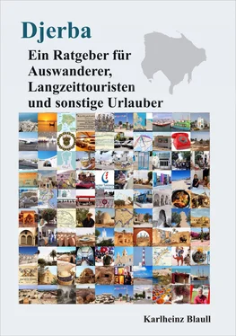 Karlheinz Blaull Djerba - Ein Ratgeber für Auswanderer, Langzeittouristen und sonstige Urlauber обложка книги