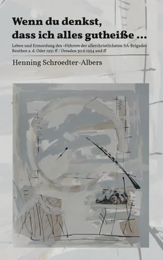 Henning Schroedter-Albers Wenn du denkst, dass ich alles gutheiße … обложка книги