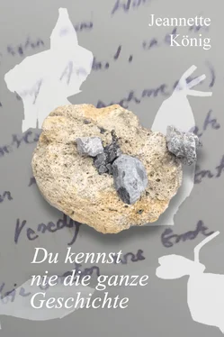 Jeannette König Du kennst nie die ganze Geschichte обложка книги